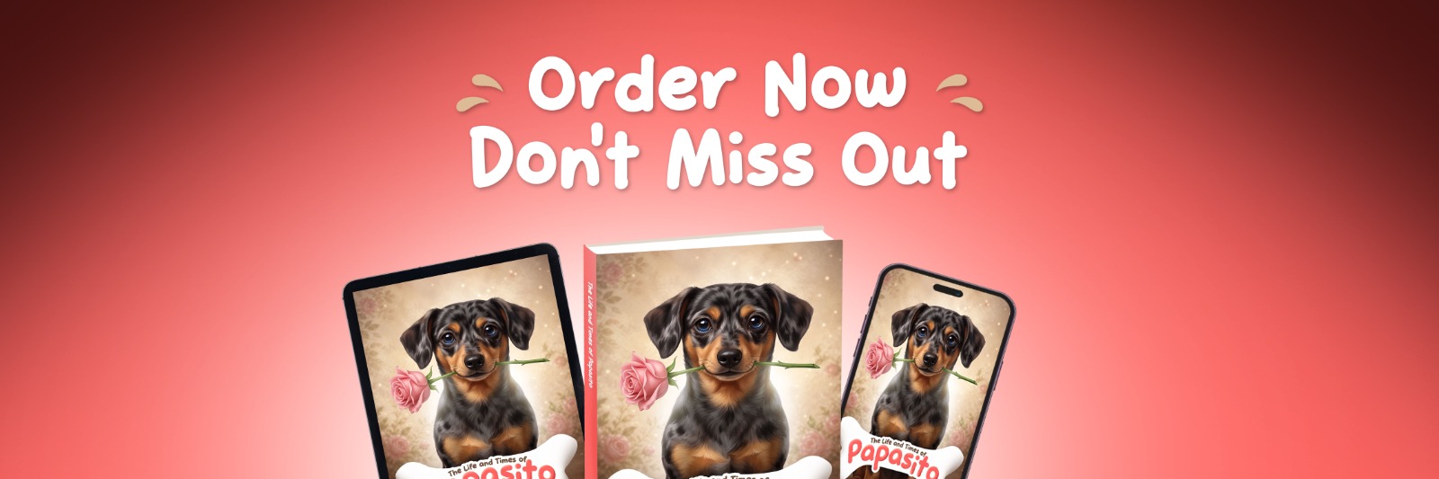 The Life and Times of Papasito order now artwork